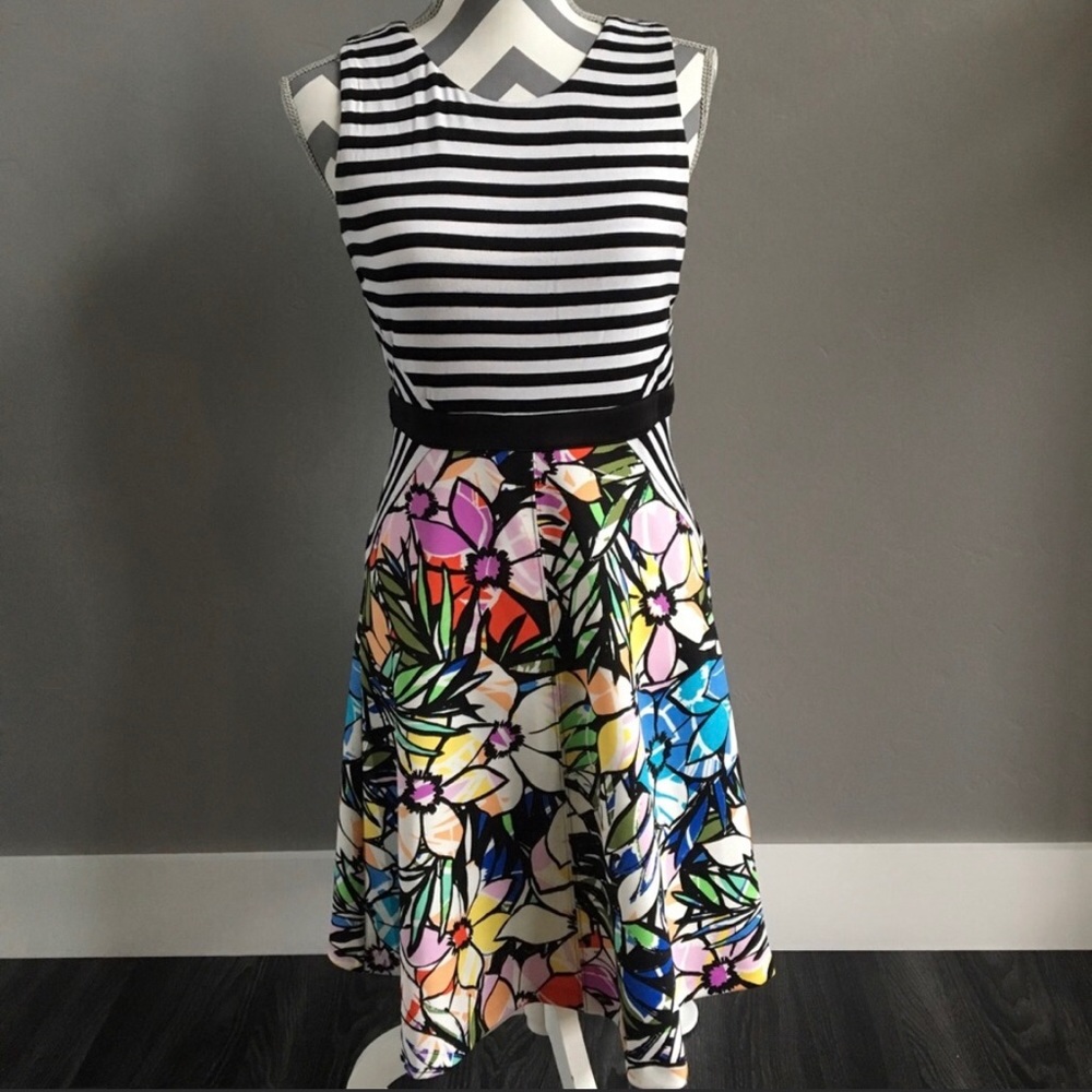Spenser Jeremy floral stripe dress 4 small